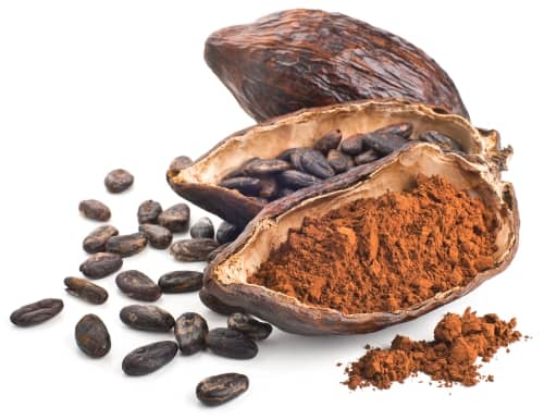Premium Haitian Cocoa Butter Oil - 100% Organic | AURORE LUXURE